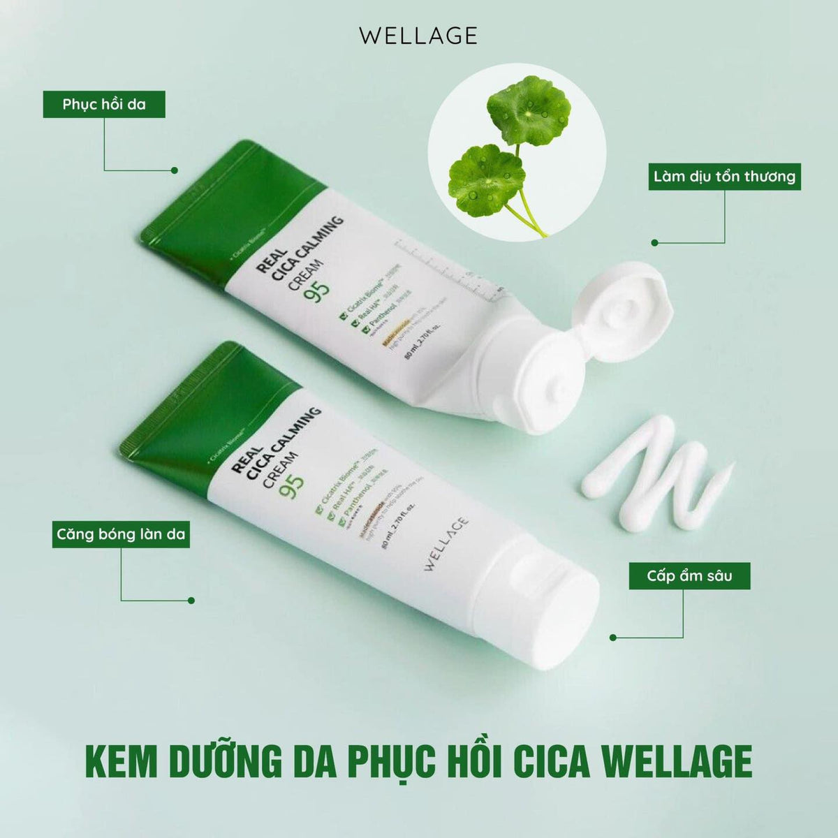 CICA CREAM PLUS DƯỠNG ẨM VÀ LÀM DỊU DA VỚI CHIẾT XUẤT RAU MÁ VÀ SƠ-RI