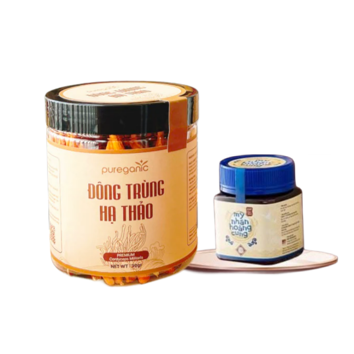 BF Đông Trùng Hạ Thảo tặng Nghệ Nano